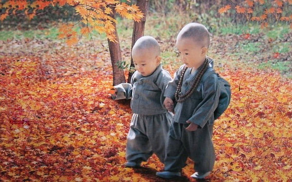 tibet kids Reguli de bază în educația tibetană, valabile pentru oricare copil