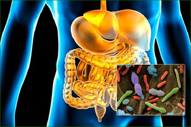 Alimente care îți distrug flora intestinală | Homepage Slider, Sănătate, Wellness | bijuterii-anca.ro