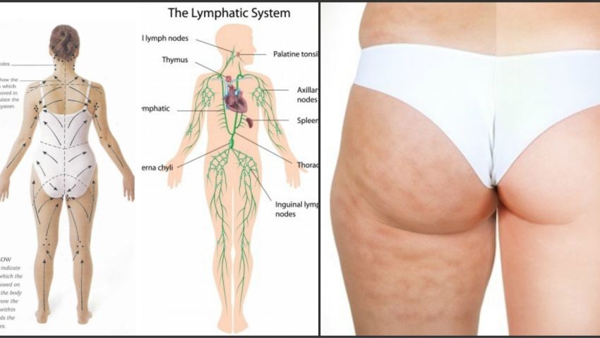 exercitii pentru limfa simetrie platyhelminthes