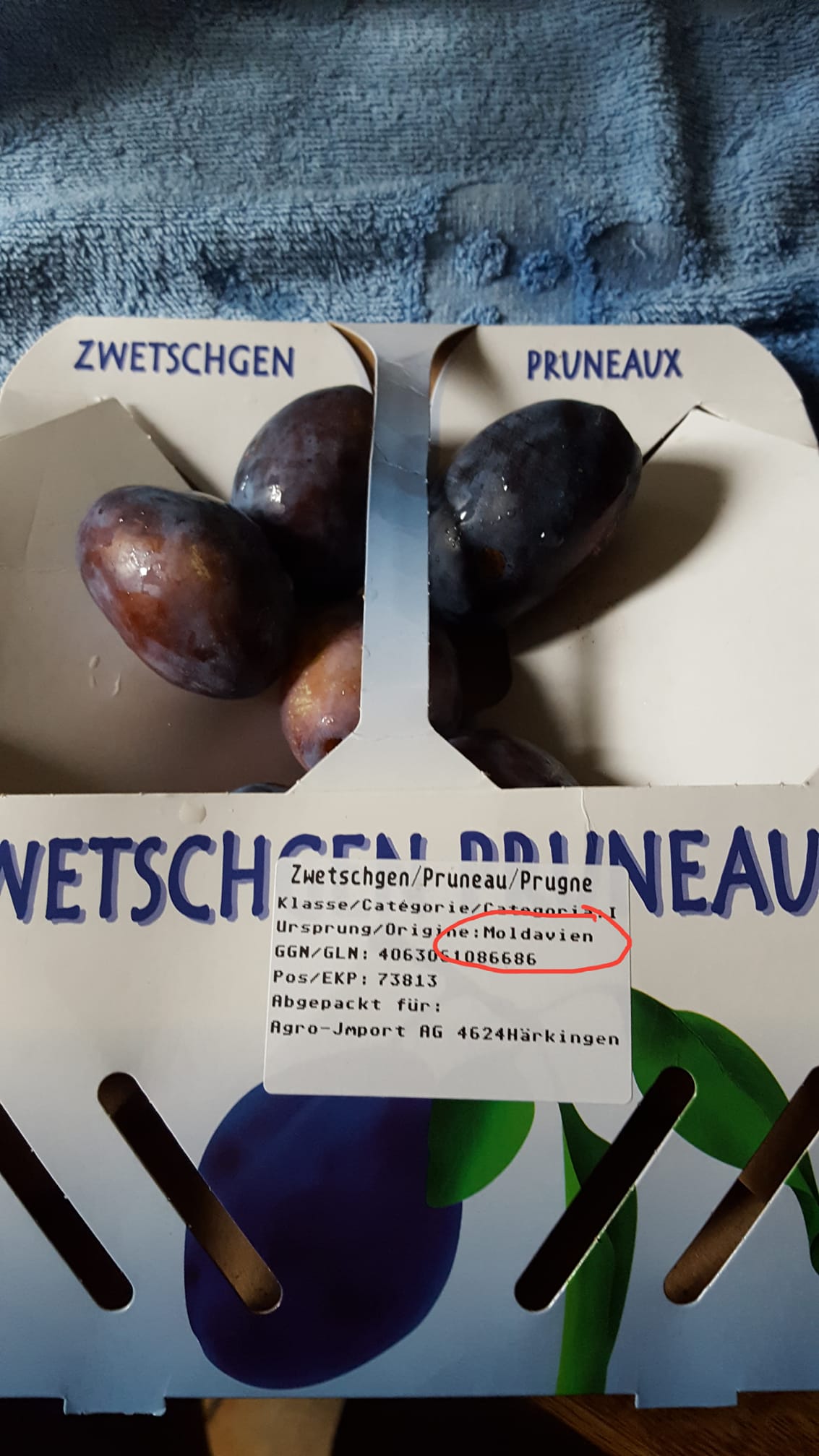 Prunele moldovenești se vând ca pâinea caldă în Germania ...