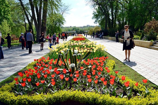 Intrarea în Parcul Dendrariu Din Capitală Va Fi Mai Scumpă | Unica.md